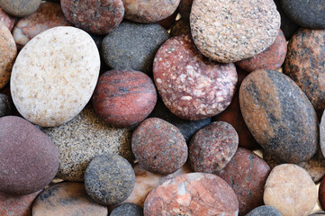 Texture of sea pebbles for the background. Selective focus, close-up