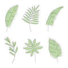 Collection of tropical leaves. Vector isolated elements on a white background. Drawn in one line.