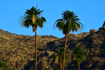 Palm Springs California