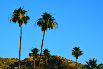 Fototapeta na wymiar Palm Springs California