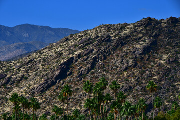 Palm Springs California