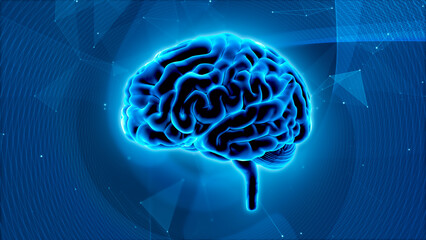 Abstract brain thinking concept background.Human brain on a blue technological background 3D rendering