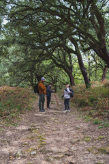 Grupo de amigos realizando senderismo por ruta de montaña rodeados de bosque