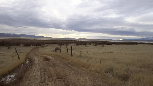 Walking down dirt road winding through grassy field on old farm in the desert in Utah.