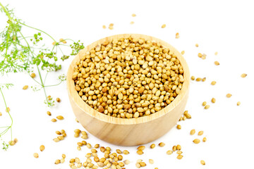 Coriander seeds on wooden bowl with flower isolated on white background. Coriander seeds are a food ingredient and medicinal herbs.