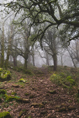 Paisaje desde la montaña pico dle aljibe en malaga