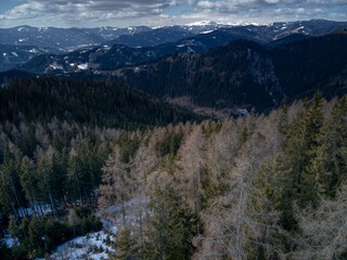 aerial photo above a forest