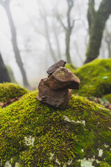 Apilamiento de piedras de un bosque con niebla