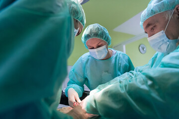 Real abdominal surgery on a cat in a hospital setting