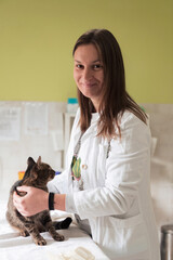 Veterinary clinic. Female doctor portrait at the animal hospital holding cute sick cat 