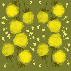 flowers,spring flowers,dandelions,daisies,wildflowers,forest flowers