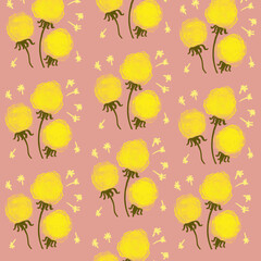 flowers,spring flowers,dandelions,daisies,wildflowers,forest flowers