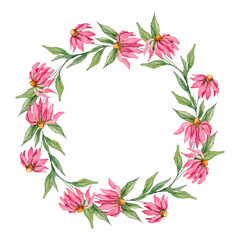 Wreath of pink Echinacea flowers and green stems and leaves. Painted in watercolor, isolated on a white background.
