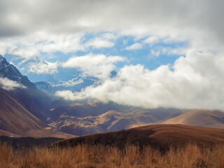 A golden field against the backdrop of the majestic mountains of the Caucasus with clouds...