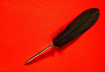 red and white feather