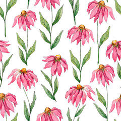 Fototapeta premium Seamless pattern of pink flowers with long petals and green leaves and stems on white. The background elements are painted in watercolor.