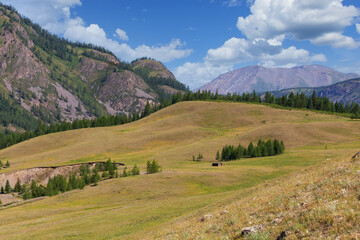 Fototapeta na wymiar Gorny Altai. Summer in the mountains