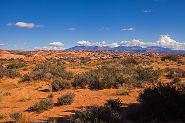 Petrified Dunes in Arches National Park with the La Sal Mountains in the background