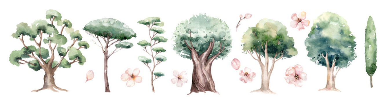 Watercolor Genealogical Family Tree. Watercolor Children's Tree Botanical Season Isolated Illustration. Olive, Oak And Cypress. Green Forest Ecology Branch And Leaves.