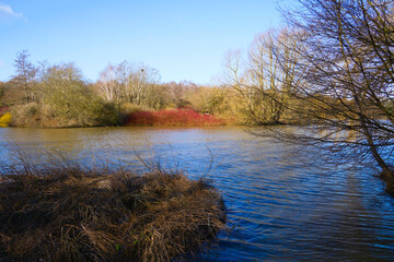 Across the rippled water of a large lake in February