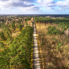 Aerial view of a dead straight road through a forest area