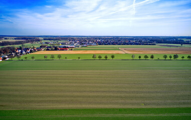Fototapeta na wymiar Aerial view of a flat landscape with fresh green farmland, a row of trees and a small town in front of the horizon