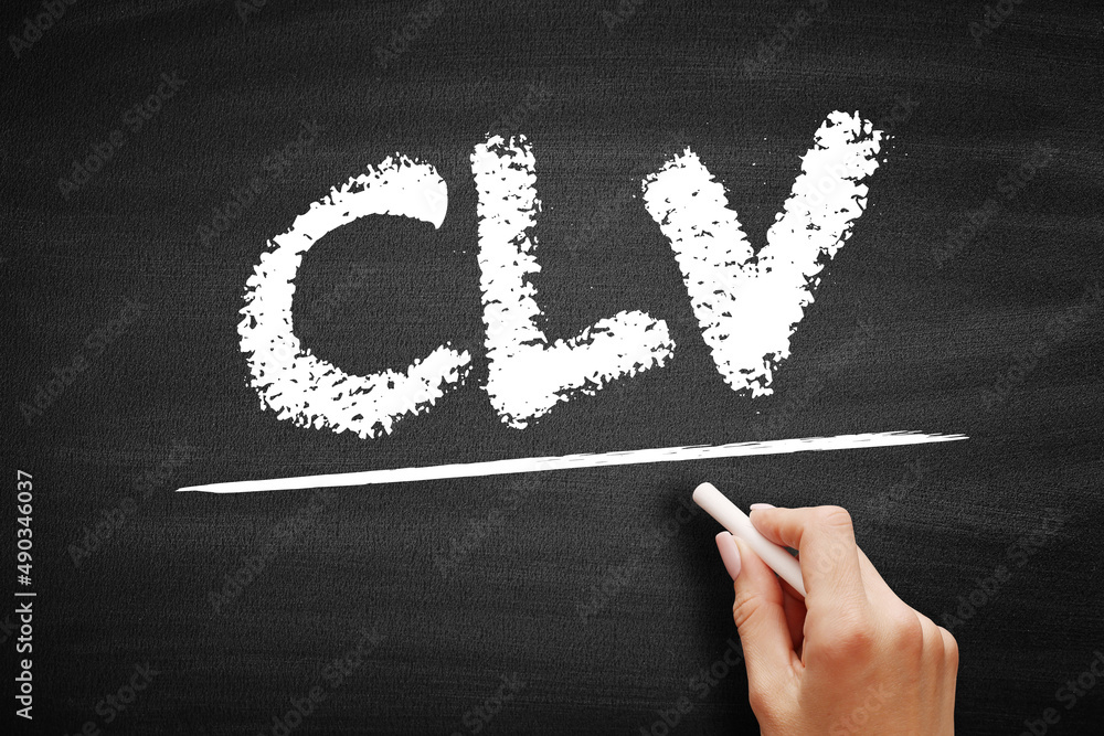 Poster clv customer lifetime value - prognostication of the net profit contributed to the whole future rela