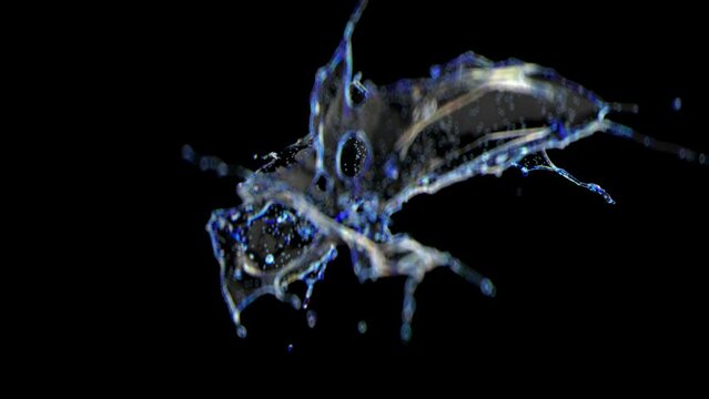 Incredibly beautiful splash of water in slow motion. The force of surface tension breaks the surface of the water for small drops and tendrils. Fully CG with alpha channel ready for compositing.
