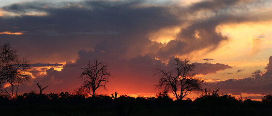 Cloud formations at sunset in the Moremi Game Reserve, Okavango Delta, Botswana
