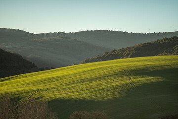 Campagna verde