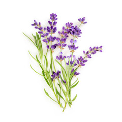 Obraz premium Bouquet of lavender flowers with leaves on white. Top view.
