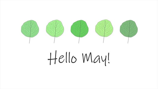 Animated video of 'Hello May' message on white background with vibrant green spring leaves above message. Leaves grow bigger and spin. Spring, season.