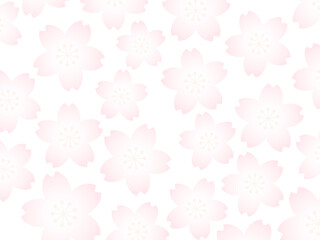 パステルカラーの桜の花の背景画像/白