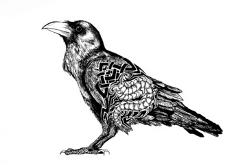 Poisonous Raven and Centipede