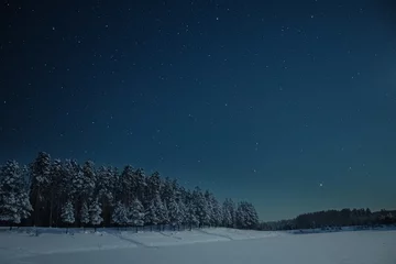  winter landscape with snow © Alexander