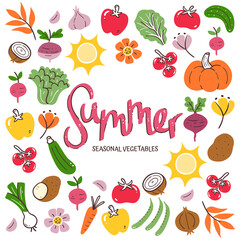 Seasonal vegetables background. Summer vegetables composition made of colorful hand-drawn vector icons, isolated on white background.