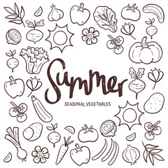 Seasonal vegetables background. Hand-drawn summer vegetables composition made of doodle vector icons, isolated on white background.