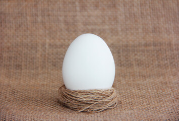 decorative white festive easter eggs