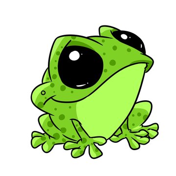 Little frog animal reptile character illustration cartoon