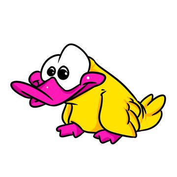 little duck animal character illustration cartoon