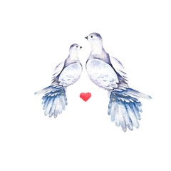 Watercolor bright card with two doves. Isolated artistic illustration with bird. Greeting object art. - 490363417
