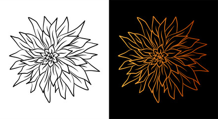 Flower outline icon, simple doodle sketch line art style, black and gold flower botany set. Beauty elegant logo design element. Graphic isolated symbol drawing. Flat shape, wedding tattoo print card.