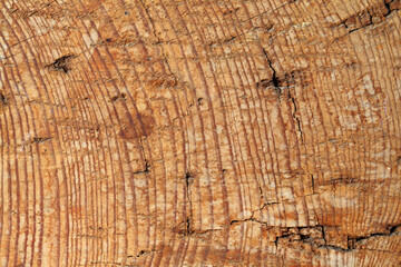 Old cracked wood texture background