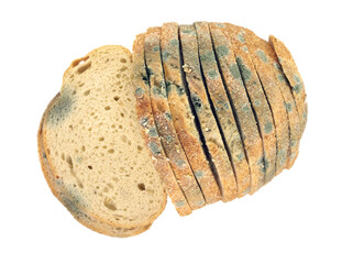 Moldy bread. Isolated on a white background