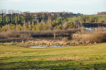Herbstspaziergang am Silfinger See
