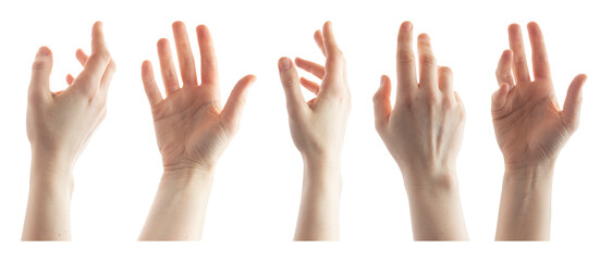 Female hands isolated on white background.