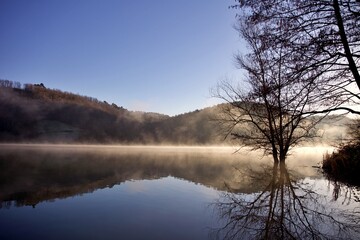Arbre lac de Mondély matin brume - nature voyage tourisme Ariège
