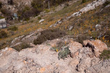 Beautiful mountain landscape. Journey in the spring. Green meadows against the blue sky.