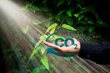 Planeta terra nas mão com raios de sol no contra luz e flare no símbolo do gás carbônico co2. Fundo desfocado com textura de folhagem. © Hermes Bezerra 