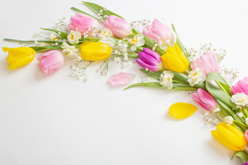 spring flowers on white background